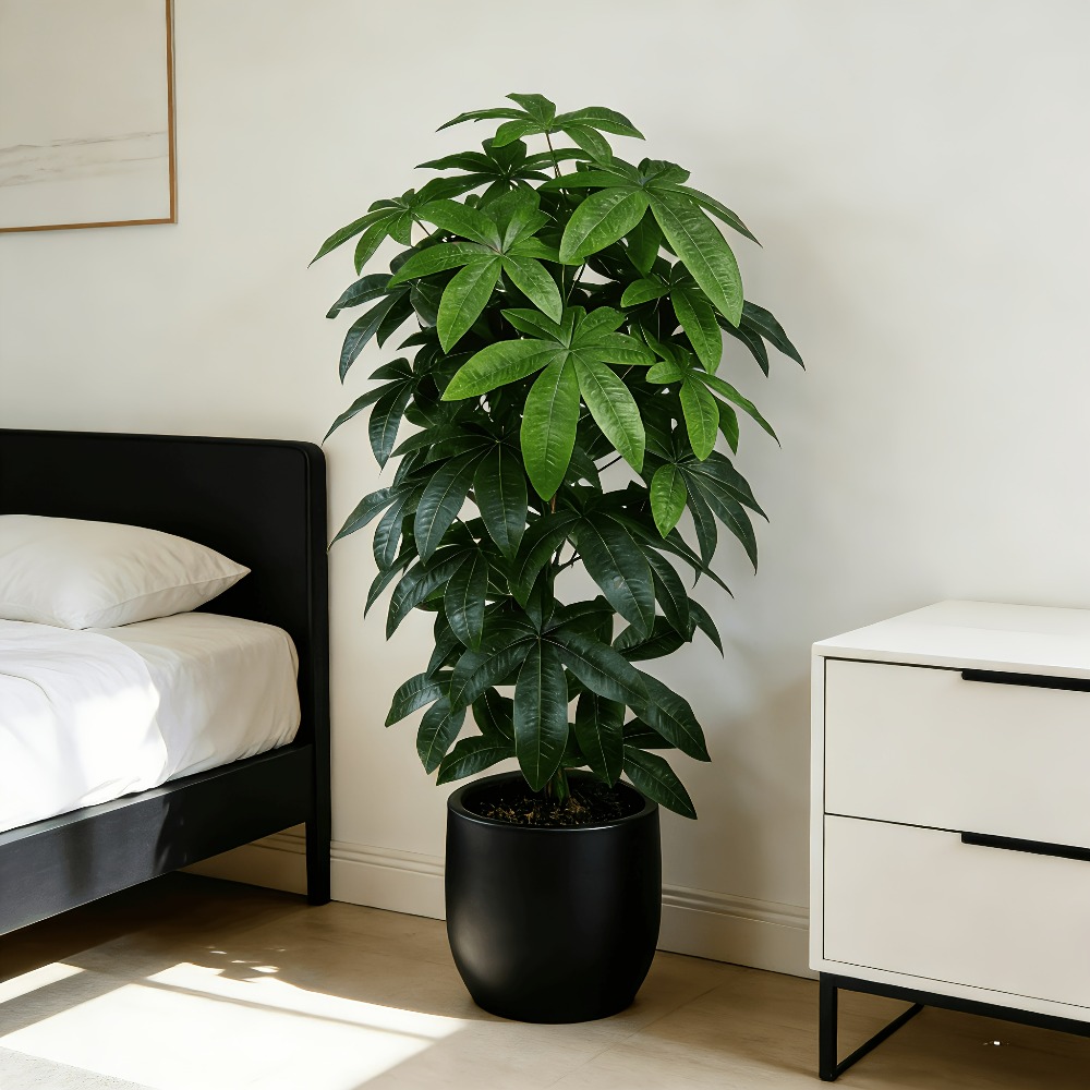 Fiddle Leaf Fig - Ein künstlicher Geldbaum (Pachira Aquatica) mit