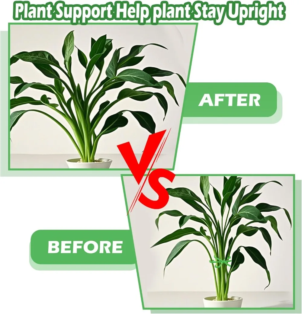 Blume Pflanze Stem Unterstützu – Plant Support Stake Bewertung und Preis