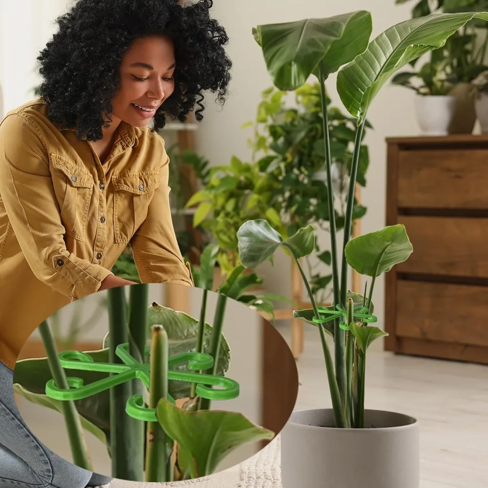 Blume Pflanze Stem Unterstützu – Plant Support Stake Bewertung und Preis