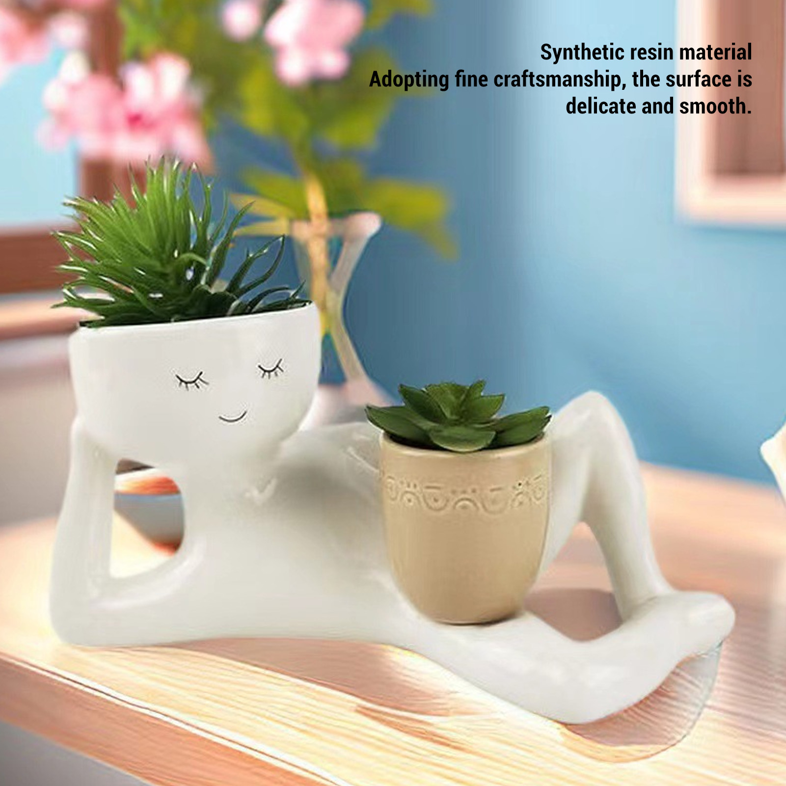 Sukkulenten-Topf, kreativer, a – Pothos Bewertung und Preis