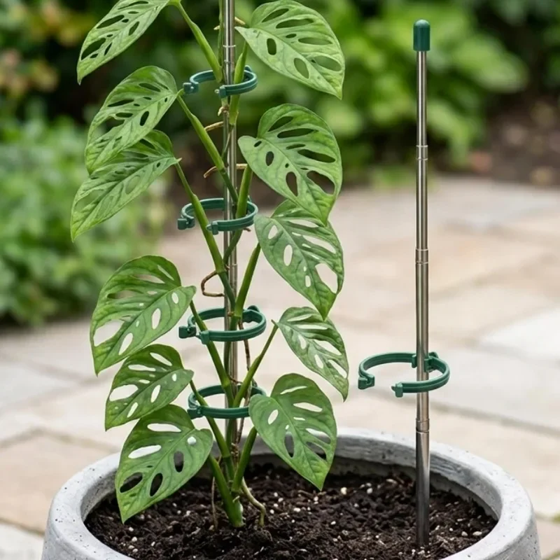 5/1 Stück Einziehbarer Pflanze – Plant Support Stake Bewertung und Preis