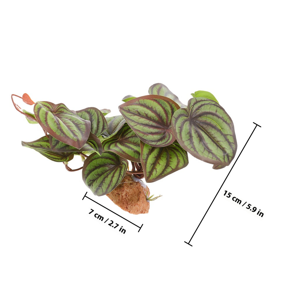 Hochwertige Simulations-Terrar – Snake Plant Bewertung und Preis