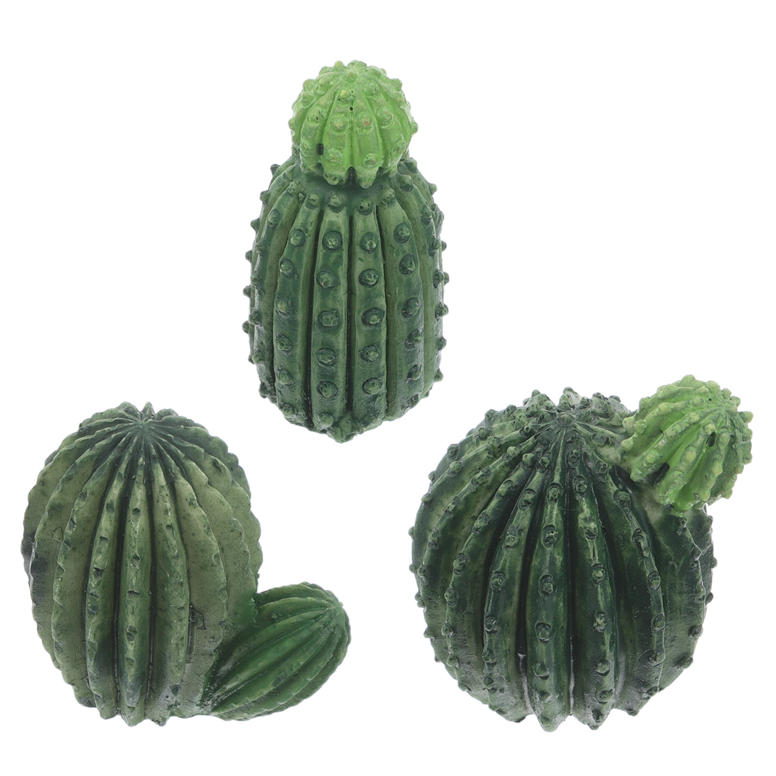 Mini-Kaktus-Sukkulenten-Set au – Succulent Set Bewertung und Preis
