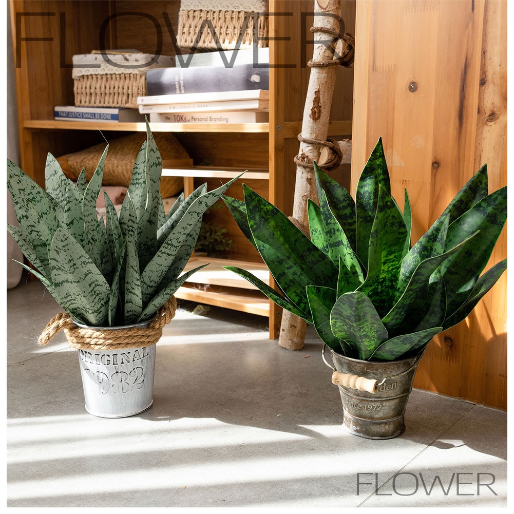 Künstliche PVC-Schlangenpflanz – Snake Plant Bewertung und Preis